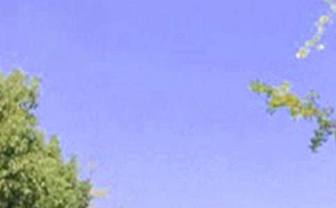 每日一签早安心语朋友圈