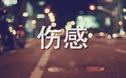 唯美伤感的句子