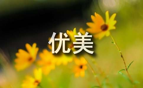 光的优美句子