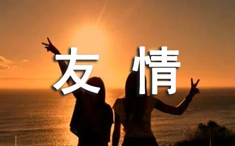 【热门】友情唯美句子集锦260句